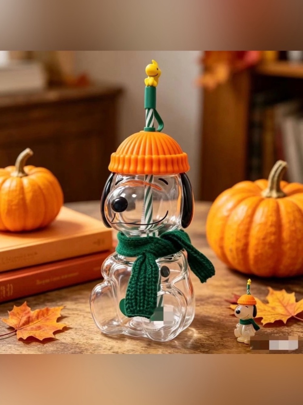 Snoopy Starbucks Glass Cup